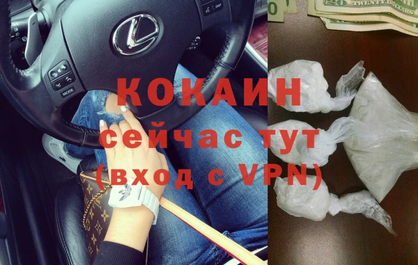 сатива Горняк