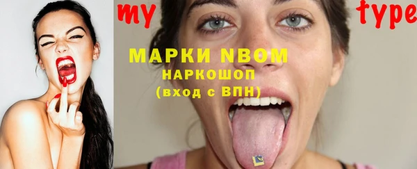 сатива Горняк