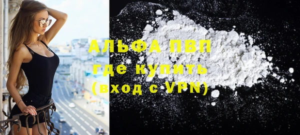 сатива Горняк