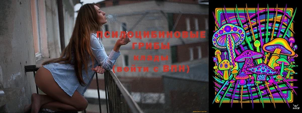 мет Горно-Алтайск