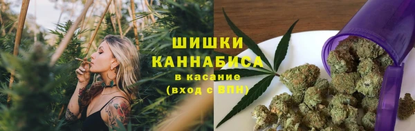 сатива Горняк