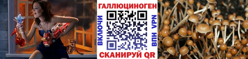 купить наркотики сайты  Отрадный  Псилоцибиновые грибы GOLDEN TEACHER 