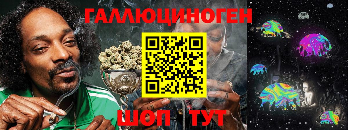 Псилоцибиновые грибы Psilocybine cubensis  Вход с VPN  Псилоцибиновые грибы прущие грибы  Отрадный 