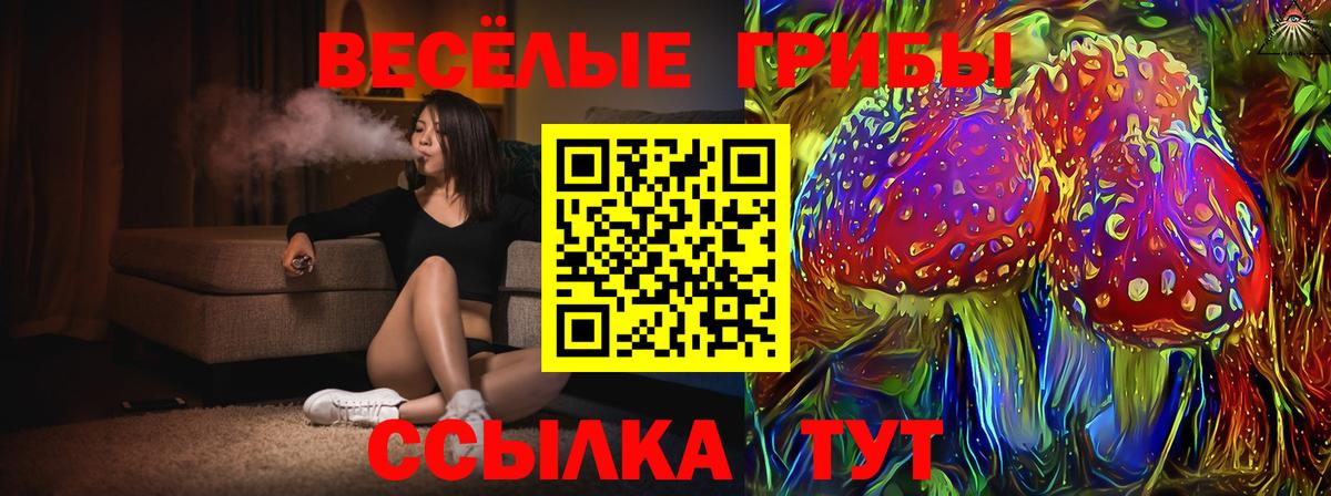 Псилоцибиновые грибы GOLDEN TEACHER Отрадный