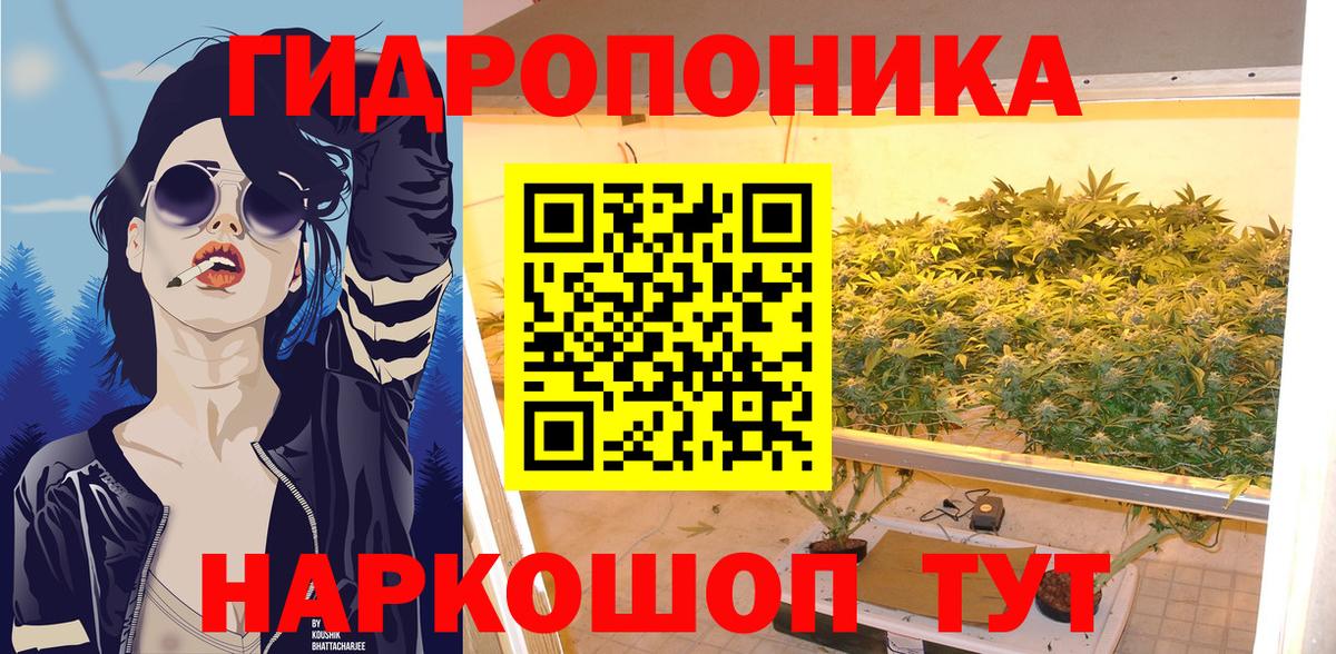 Марихуана тримм  Бошки Шишки OG Kush  Отрадный  Вход с VPN 